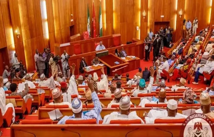 Senate Approves ₦11trn Revenue Target For Customs