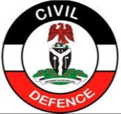 NSCDC Constitutes High-Powered Team to Probe Deaths of Suspected Illegal Miners in Niger