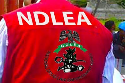 NDLEA Arrests Mexican Drug Kingpin, Uncovers Meth Lab in Ebonyi